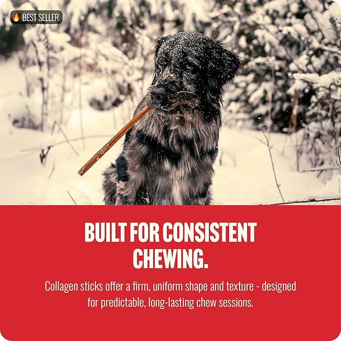 Natural Farm Odor-Free Collagen Chews, (12-Inch, 12-Pack), Long Lasting Bully Sticks & Rawhide Alternative Dog Treats, 95% Collagen, High Protein Best Dental Dog Treats – Medium & Large Dogs