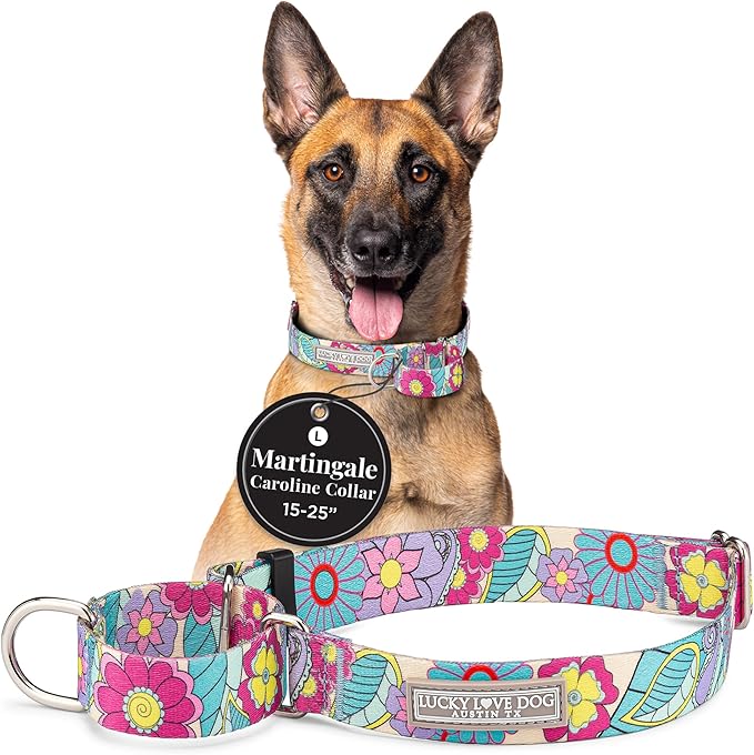 Lucky Love Dog Martingale Collar, Premium No Slip Martingale Collar for Large Dogs, Great for Whippets, Greyhounds, and More (Caroline, Large)