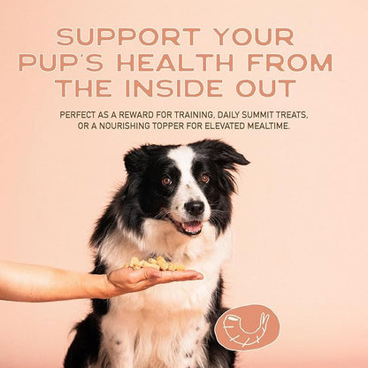 Smart Cookie All Natural Soft Dog Treats - Shrimp & Coconut - Healthy Dog Treats for Allergies, Sensitive Stomachs - Chewy, Grain Free, Human-Grade, Made in The USA - 5oz Bag, 1 Pack