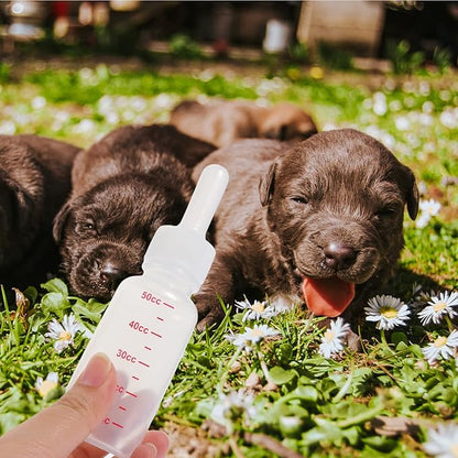 balacoo Small Pet Accessory Pet Milk Bottle Set 3pcs Plastic Milk Bottles Lightweight Compact for Puppy