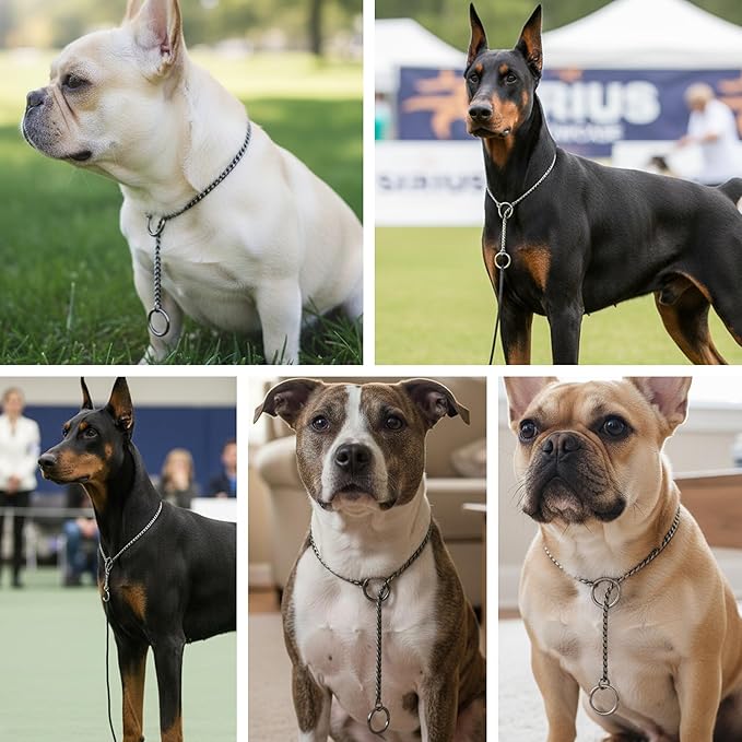 Dog P Snake Chain Chrome Plated Metal Dog Training Choke/Collar-Fully Guaranteed Against Rust Tarnish or Breakage-Recommended for Professional Training (Golden, 5mm * 22")