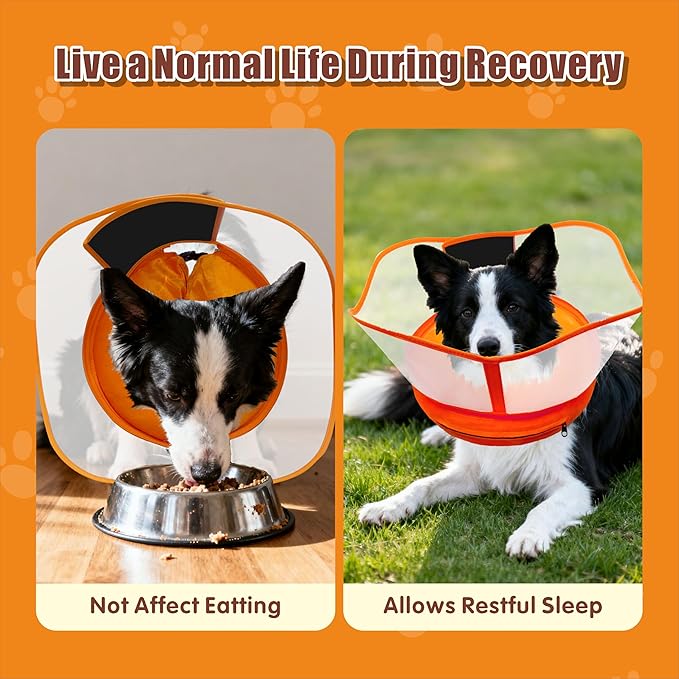 Inflatable Dog Cone with Transparent Shield, Protective Dog Donut Collar After Surgery Soft Donut Cone for Dogs, Orange, Large