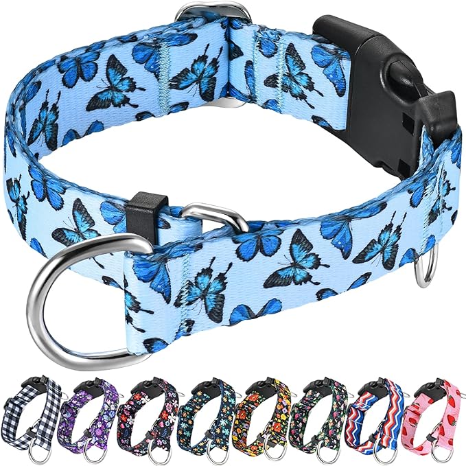 Martingale Dog Collar with Buckle Adjustable Nylon Cute Girl No Pull Anti Escape Training Dog Collars (Blue Butterfly, Medium)