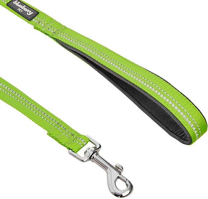 Blueberry Pet 3M Reflective Pastel Color Dog Leash with Soft & Comfortable Handle, 5 ft x 5/8", Green Flash, Small, Leashes for Dogs