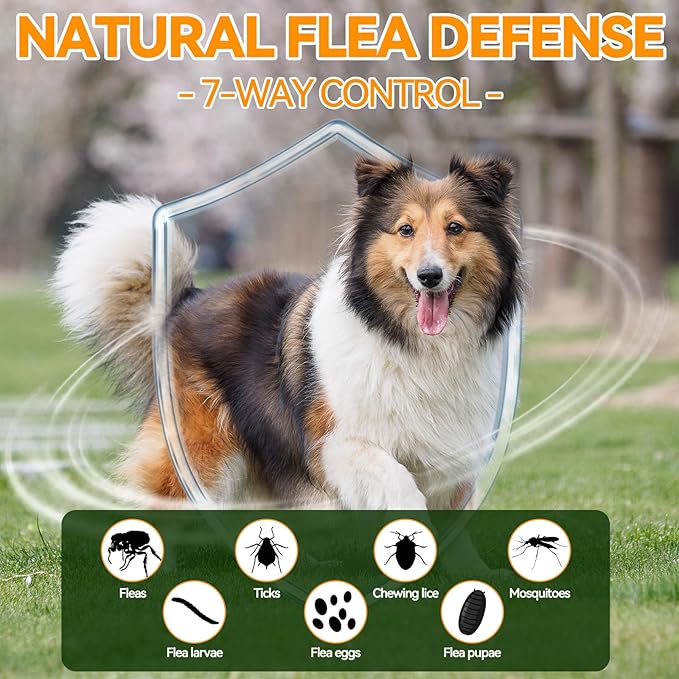Carmelie Flea and Tick Prevention for Dogs - 200 Chews Natural Dog Flea and Tick Support, Oral Flea Supplement for All Dogs, Supports Healthy Skin & Coat, Puppy Flea Protection - Chicken Flavor