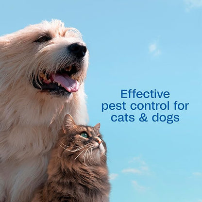 ADAMS Plus Flea & Tick Shampoo with Precor for Dogs, Cats, Puppies & Kittens, Flea Shampoo to Treat Flea Infestations, Kills Ticks, Fleas, Flea Eggs & Lice, Cleans and Conditions Coat, 6 Ounces