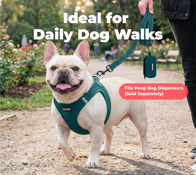 Best Pet Supplies Voyager Reflective Dog Leash or Collar with Neoprene Handle, for Small, Medium, and Large Breed Puppies, Cute and Heavy Duty for Walking, Running and Training - Blue (Leash), L