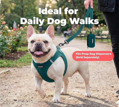 Best Pet Supplies Voyager Reflective Dog Leash or Collar with Neoprene Handle, for Small, Medium, and Large Breed Puppies, Cute and Heavy Duty for Walking, Running and Training - Blue (Leash), M