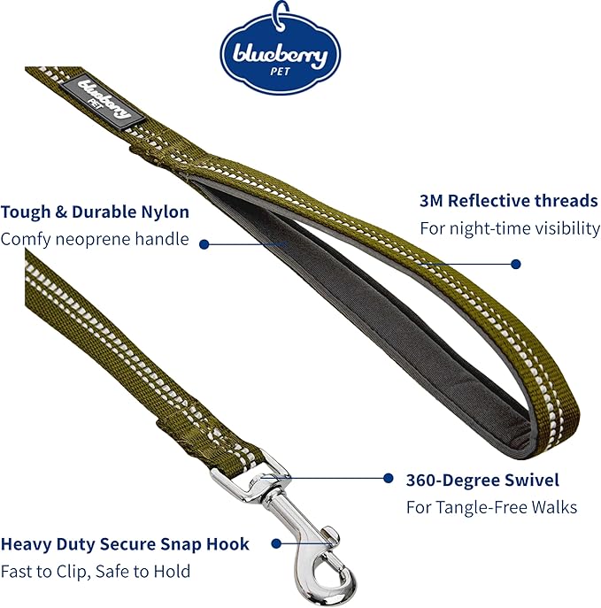 Blueberry Pet 3M Reflective Pastel Color Dog Leash with Soft & Comfortable Handle, 4 ft x 1", Olive Green, Large, Leashes for Dogs