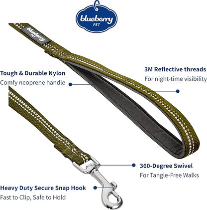 Blueberry Pet 3M Reflective Pastel Color Dog Leash with Soft & Comfortable Handle, 4 ft x 1", Olive Green, Large, Leashes for Dogs