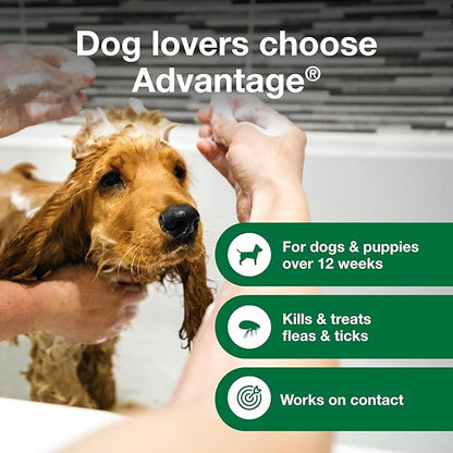 Advantage Dog Flea & Tick Shampoo for Puppies & Adult Dogs | Kills Fleas & Ticks | 24 oz.