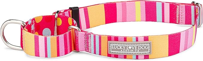 Lucky Love Dog Martingale Dog Collar - Adjustable, No-Slip, Durable, & Soft Webbing Collar for Male and Female Dogs Ideal for Training & Walking - Molly, Large
