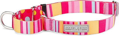 Lucky Love Dog Martingale Dog Collar - Adjustable, No-Slip, Durable, & Soft Webbing Collar for Male and Female Dogs Ideal for Training & Walking - Molly, Large