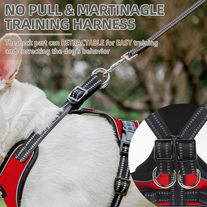 PUPTECK Dog Harness and Leash Set Small Sized, Adjustable Reflective Escape Proof Puppy Vest, No Pull Walking Harness Easy Control