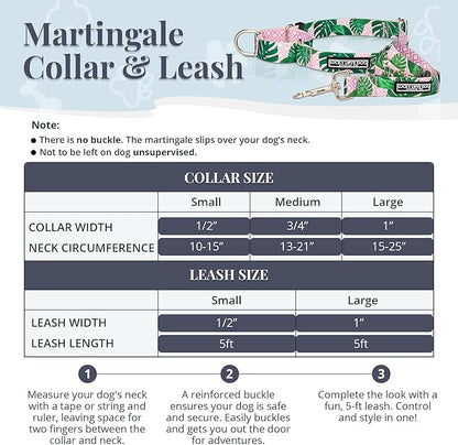 Lucky Love Dog Martingale Dog Collar & Leash - Adjustable, No-Slip, Durable, Comfortable, Soft Webbing, & Stylish Patterned Collar & Leash Set for Male and Female Dogs - Laguna Mart Combo, Small