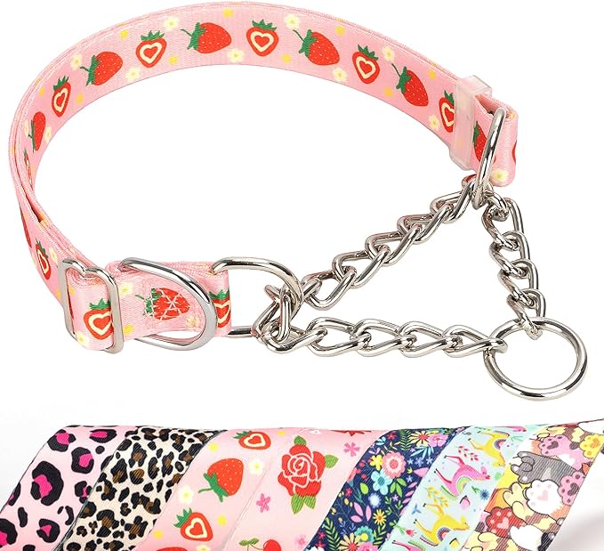 Pink Strawberry Martingale Dog Collar with Chain - No-Pull Training Collar Soft & Durable Design for Medium, Large & XL Dogs (XL Strawberry)