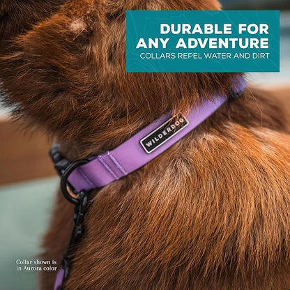 Wilderdog Waterproof Dog Collar – Repels Water & Dirt - Small 11"-15" - Aurora