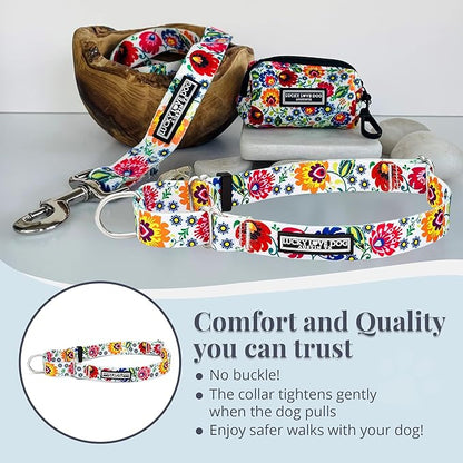 Lucky Love Dog Martingale Dog Collar - Adjustable, No-Slip, Durable, & Soft Webbing Collar for Male and Female Dogs Ideal for Training & Walking - Ladybird, Large
