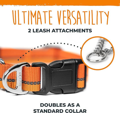 Mighty Paw Martingale Dog Collar 2.0 | Trainer Approved Limited Slip Collar with Stainless Steel Chain & Heavy Duty Buckle - Modified Cinch for Gentle & Effective Pet Training - Medium, Orange