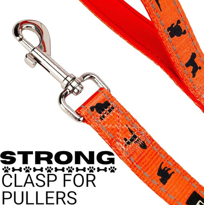 EcoBark Dog Leash - Soft & Reflective Comfort Leashes with Padded Handle - Strong Durable Heavy Duty - Training and Pulling for Small, Medium or Large Dogs (Orange)