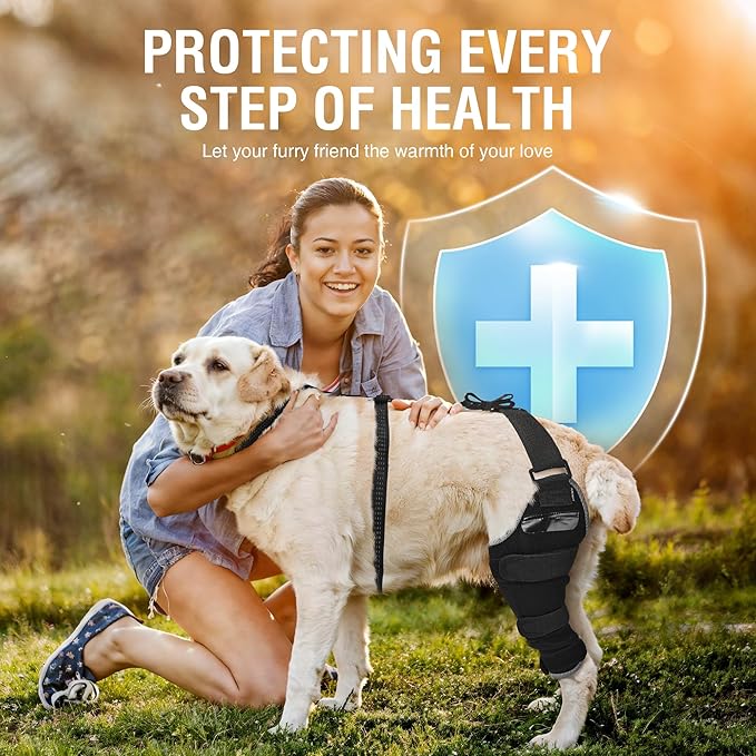 Dog ACL Knee Brace for Rear Leg – Adjustable Back Leg Support with Hot/Cold Gel Pack for Cruciate Ligament Rehab, Joint Pain & Swelling Relief – Reflective, Right Leg, Size XL