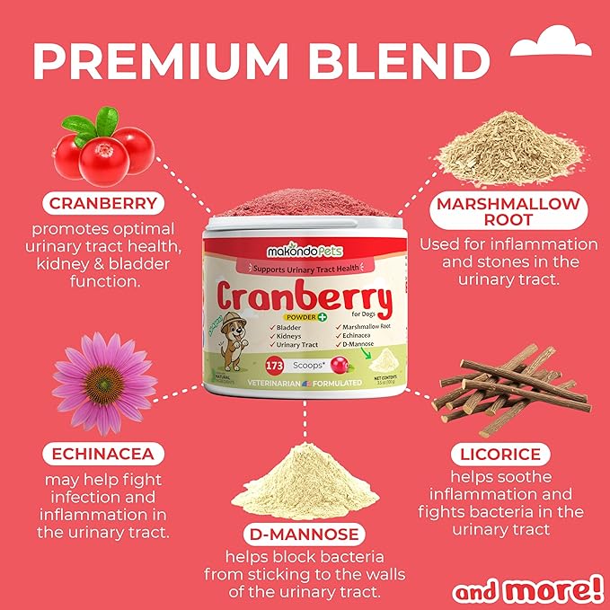 Cranberry Supplement for Dogs – Cranberry Powder with D-Mannose, Marshmallow Root & Vitamin C, Bladder & Kidney Support for Urinary Tract for Dogs, Helps Maintain Normal Urine pH – 173 Scoops