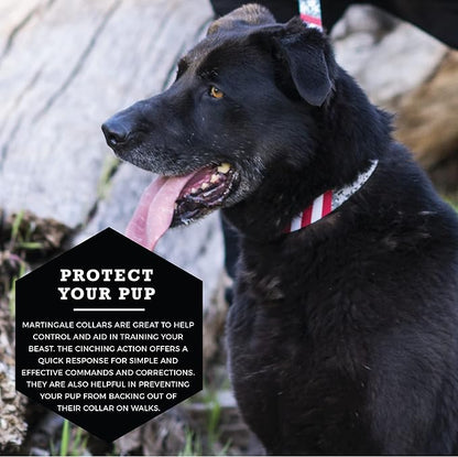 Wolfgang Heavy Duty Martingale Dog Collar with Quick Release Nylon Buckle for Walking & Training, DigitalDog Print, Extra Large