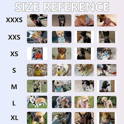 AIITLE No Pull Dog Harness and Leash Set, Step in Adjustable Dog Harness with Padded Vest for All Weather, Dog Leash with Soft Padded Handle, Easy to Put on Small and Medium Dogs Green S
