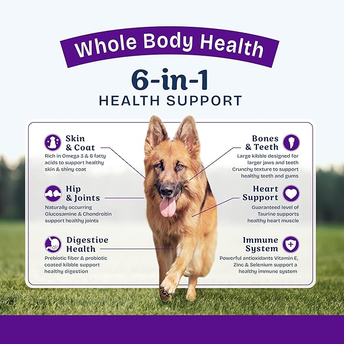 Natural Balance Health Protection Large Breed Dry Dog Food – Whole Body Health, Easy on Digestion Dog Food Made with Salmon, Brown Rice & Pumpkin for Dogs - 26lbs