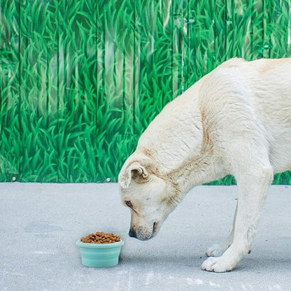 Luter 2 Pieces Collapsible Dog Bowls Silicone Food Water Travel Bowl with Lids Portable Expandable Pet Feeding Watering Cup Dish for Walking Kennels Camping 350ml (12x12x3cm) (Pink & Blue)