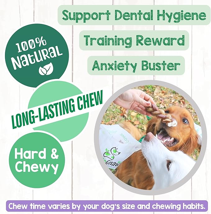 Nature Gnaws Braided Bully Sticks for Dogs 5-6" (3 Count) - Long Lasting for Small and Medium Dogs - Natural Beef Dog Chew Bones - Rawhide Free