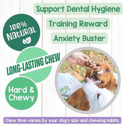 Nature Gnaws Braided Bully Sticks for Dogs 5-6" (3 Count) - Long Lasting for Small and Medium Dogs - Natural Beef Dog Chew Bones - Rawhide Free