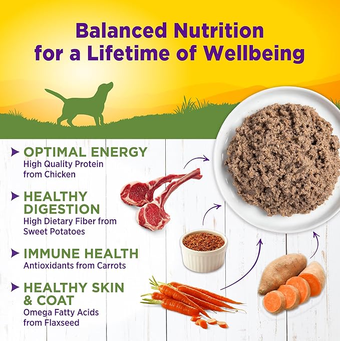 Wellness Complete Health Pate Adult Canned Wet Dog Food, Wholesome Grains, Natural, Lamb and Sweet Potato, 12.5 oz, Pack of 12 Cans