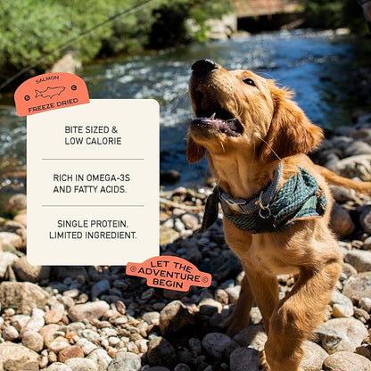 Smart Cookie Freeze Dried Salmon Bites - Single Ingredient Freeze Dried Treats for Dogs - Wild Caught Alaskan Salmon Dog Training Treats & Dog Food Topper - Made in USA - 2oz Bag, 3 Pack
