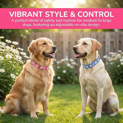Hot Pink Martingale Dog Collar and Leash Set for Female Dogs, Cute Daisy Pattern Girl Dog Collar, Adjustable Soft Durable Pet Collar with 5ft Matching Leash for Small Medium Large Dogs