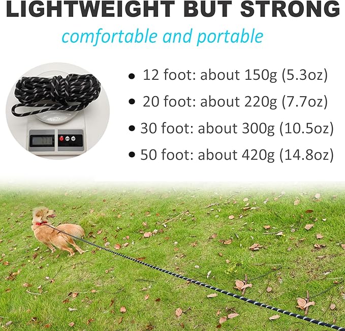 Long Slip Lead Dog Leash Reflective Anti-Choking 12 FT/20 FT/30 FT/50 FT Rope Training Leash for Medium Dogs Small Puppy Pets (30ft, Black)