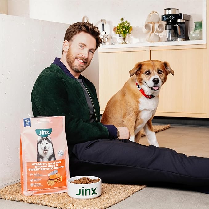 Jinx Premium Grain-Free Dry Dog Food, for All Lifestages - Real Chicken, Sweet Potato & Carrot Kibble with Superfoods for Immune Support & Probiotics for Digestive Support - No Fillers - 4lb