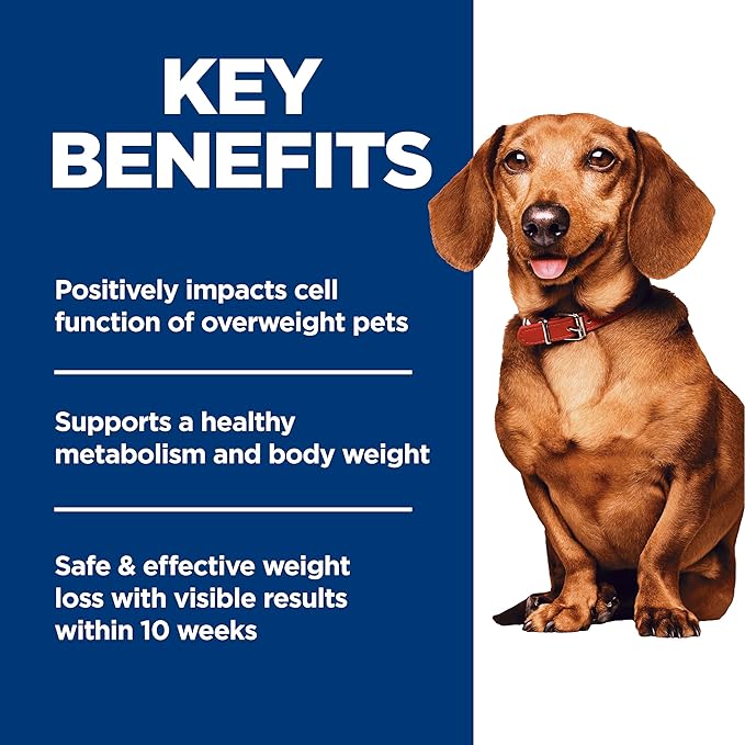 Hill's Science Diet Adult Perfect Weight Small & Mini Dry Dog Food, Chicken, 4 lb. Bag