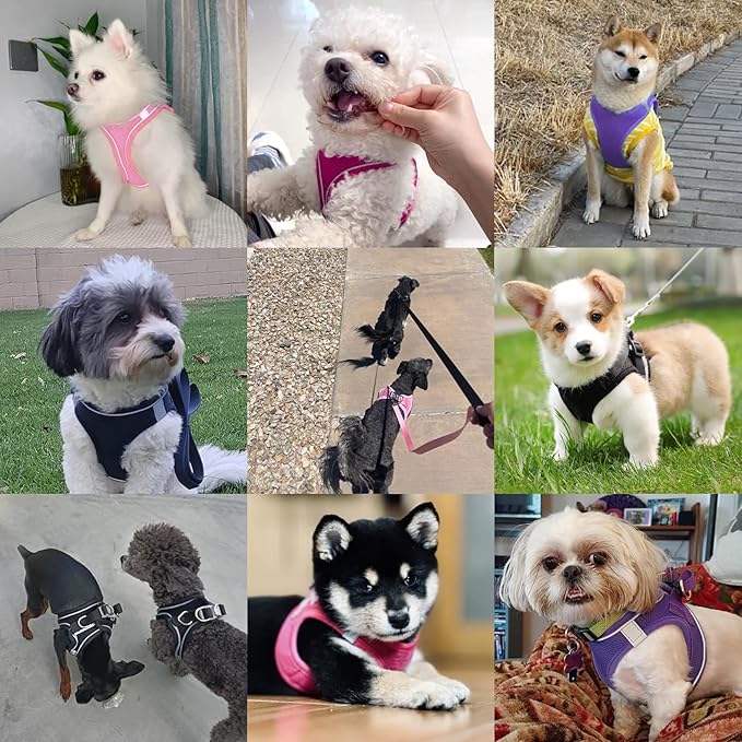 Dog Harness with Leash Set, No-Pull Step-in Reflective Pet Harness with 1 Leash Clips, Adjustable Soft Padded Easy Walk Dog Vest for Small Medium Large Dogs, Cats(Light Purple, Medium)