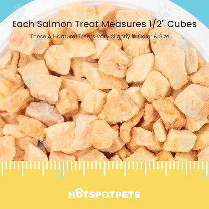 hotspot pets Freeze Dried Salmon Treats for Cats & Dogs - Made in USA - 1LB Resealable Big Bag - Single Ingredient, High Protein, All Natural Grain-Free - Perfect for Training, Topper or Snack