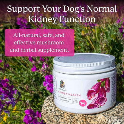 Dr. Harvey's Kidney Health Kidney Support Supplement for Dogs (4 Ounces)