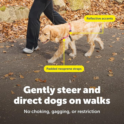 PetSafe Deluxe Easy Walk Harness - Trainer-Trusted Dog Chest Harness with Breathable Martingale Loop Design - Helps Stop Pulling with No Choking & Gagging - Large - Rose
