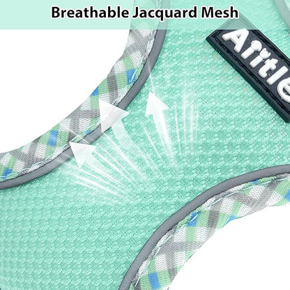 AIITLE Teacup Puppy Harness with Leash - Adjustable Soft Vest with Magic Tape & Reflective Safety Strips, Easy-Put-On for Poodles, Pomeranians - Gym, Hiking, Travel (Turquoise, S)