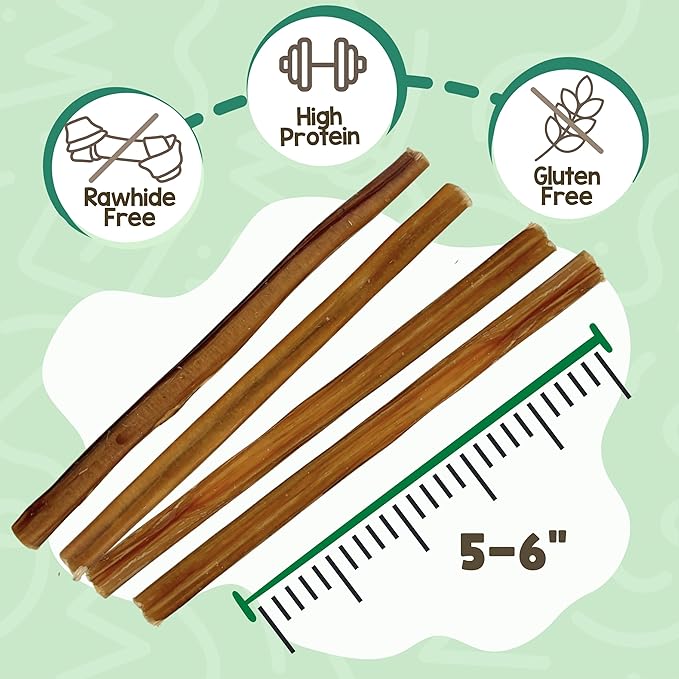 Nature Gnaws Small Bully Sticks for Dogs 5-6" (5 Count) - Long Lasting for Light Chewers and Puppies - Natural Thin Beef Dog Chew Bones - Rawhide Free