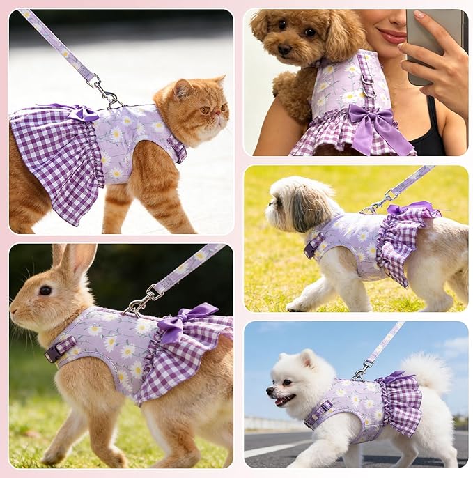 EXPAWLORER Dog Harness Small Medium Sized Dogs, Daisy Dog Dress Bowknot Harness and Leash Set, No Choke No Pull Soft Mesh Vest Cute Princess Puppy Outfits Clothes Costume for Girls Party Cats Purple S