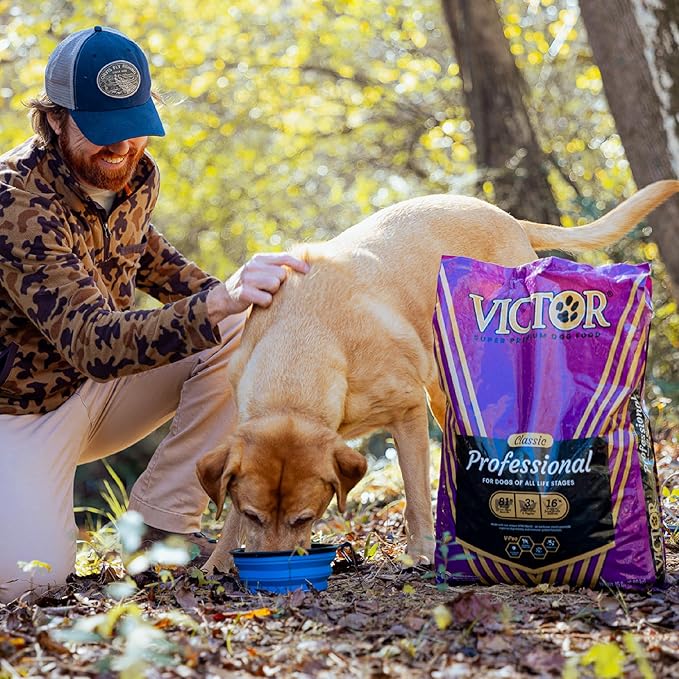 VICTOR Super Premium Dog Food – Professional Dry Dog Food – Super Premium Kibble with 26% Protein – Gluten-Free with Beef, Chicken & Pork Meals – for High Energy and Active Dogs & Puppies, 30lbs