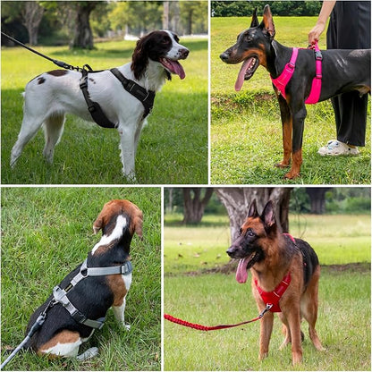 Plutus Pet No Pull Dog Harness, Reflective Adjustable Dog Vest Harness with Handle, Escape Proof, Soft Padded for Small Medium Large Dogs (Light Blue, M)