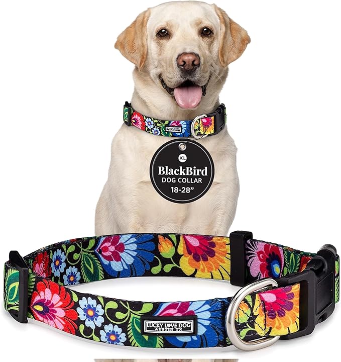 Lucky Love Dog - Adjustable Dog Collar with Easy Click Buckle for Large Ones, Durable, & Comfortable for Male & Female Dogs, Pet Collar for Puppies & Adult Dogs - Blackbird, Extra Large