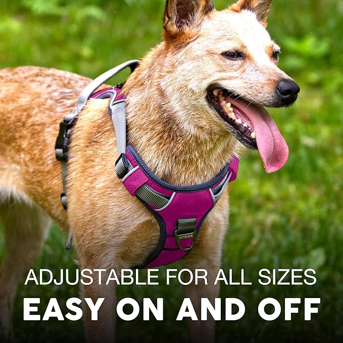 Embark Adventure XL Dog Harness – No-Pull, Reflective Trim, Military-Grade Nylon, Dual Leash Clips, Gel-Lined Handle for Extra Large Dogs