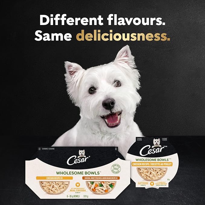 Cesar Wholesome Bowls Adult Wet Dog Food, Chicken, Carrots, Barley & Green Beans Recipe and Beef, Chicken, Purple Potatoes & Carrots Recipe Variety Pack, Wet Food for Dogs, 3 oz., 6 Count